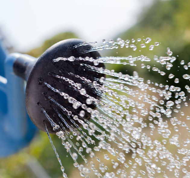 Watering